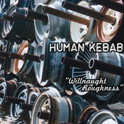 Human Kebab: Willnaught Roughness