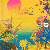 Pure Organic 2 By Salvo Migliorini