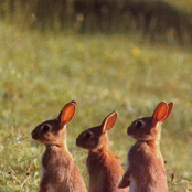 very old - very demo - new stuff soon