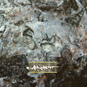 Living in the No Future