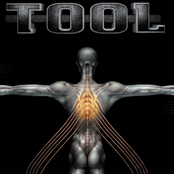 Lamc / Maynard's Dick by Tool