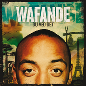 Reggae Hver Dag by Wafande