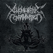 Chasm of No Return - EP