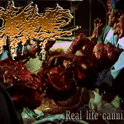 Real Life Cannibals