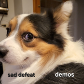 demos