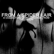 FROM A SPIDER LAIR