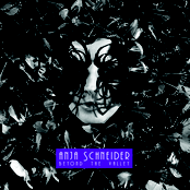 Anja Schneider - Beyond The Valley