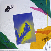 A Last Discovery : The Essential Recordings, 1984-2001