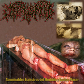 Abominables Espectros del Mórbido y Sádico Placer