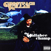 Clips by Ghostface Killah