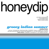 groovy indian summer -Remastered-