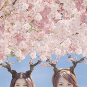 お花見ビーナス