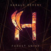Forest Shine