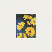 Sunflowers (Opus Elefantum & Friends for Ukraine)