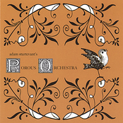 Porous Orchestra