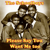 Please Say You Want Me by The Schoolboys