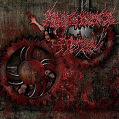 Pulverizing Pelvic Regions