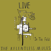 The Relentless Mules: In the Field
