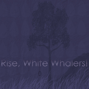 rise, white whalers!