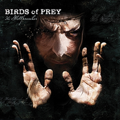 The Excavation by Birds Of Prey