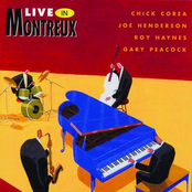 Hairy Canary by Chick Corea