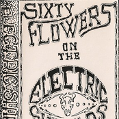 Sixty Flowers On The Electric Shields