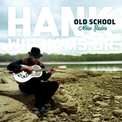 Three Day Trip by Hank Williams Jr.