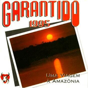 Uma Viagem À Amazônia