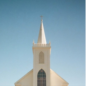 Pale Flowers On Sunday