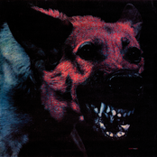 Pagans by Protomartyr