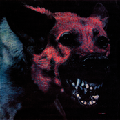 Bad Advice by Protomartyr