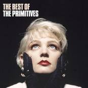 I Almost Touched You by The Primitives