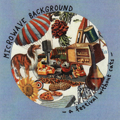 A Festival Without Cats