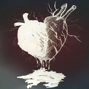 Fragments of Mourning