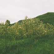 L’oiseau sur la montagne (Radio Edit)