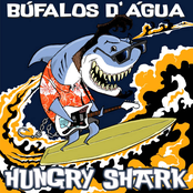 Hungry Shark