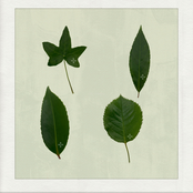 Photo Synthesis