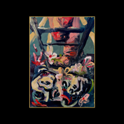 THE LADDER I CLIMBED