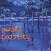 When The Rain Falls by Public Property