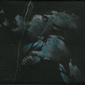 Shadows From The Album Skies II