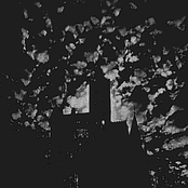 Grim Moonlight upon Transylvania