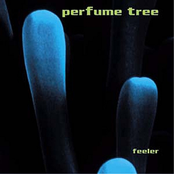 Home by Perfume Tree