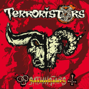 Damage Is Done by Terroristars