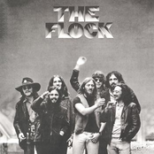 The Flock