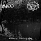 Musikalisches zusammenspiel (Split)