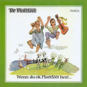 Wenn Du Ok Plattfööt Hest...