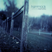 Wish by Hammock