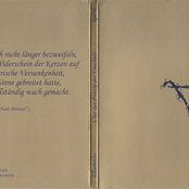 Über das Prinzip der Unschuld