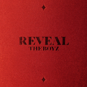 The Boyz: THE BOYZ 1ST ALBUM [REVEAL]