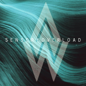 Sensory Overload